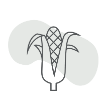 Plant Derived PLA Fiber