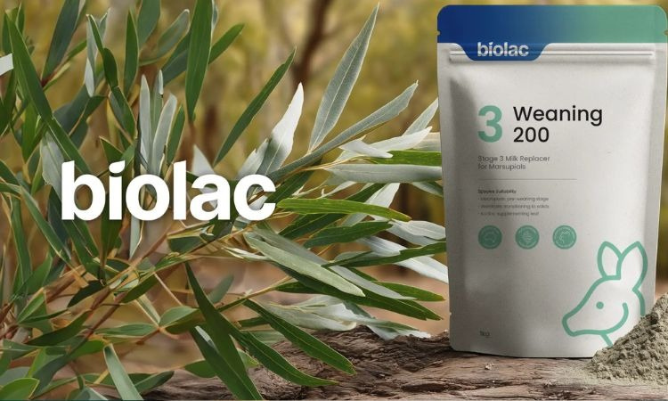 Eco Packaging Design Sydney